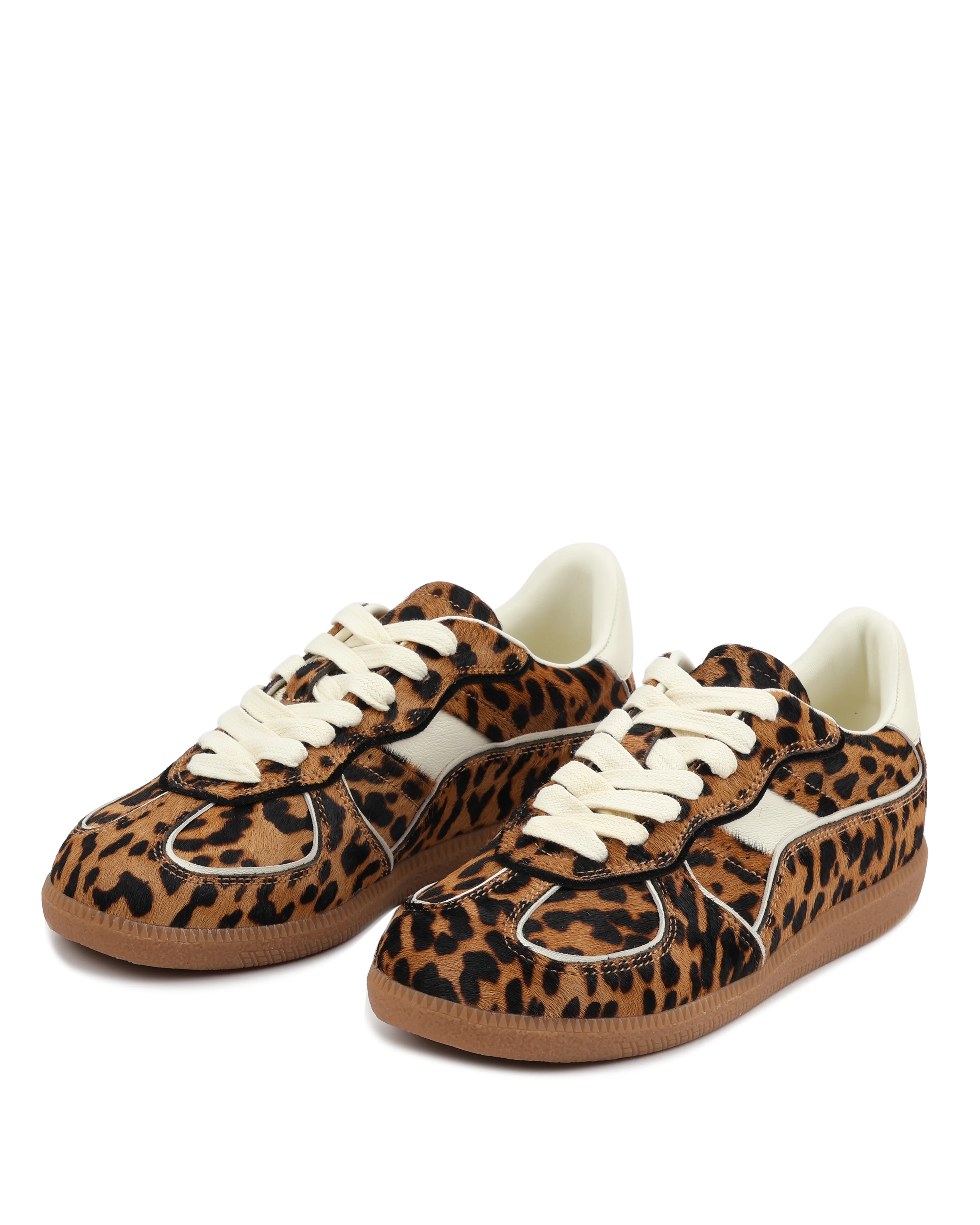 August Leopard - Image 3
