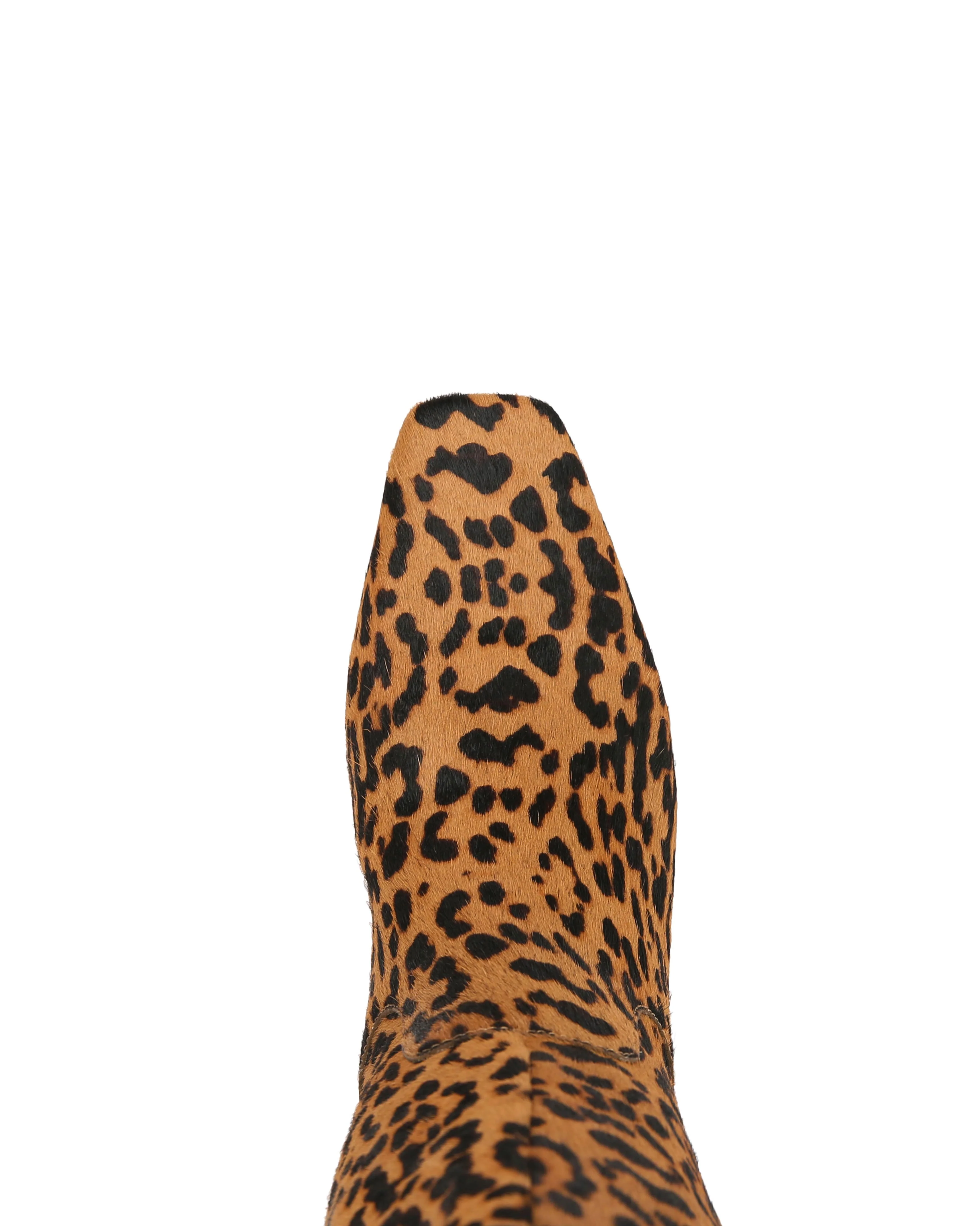 Fly Leopard - Image 4
